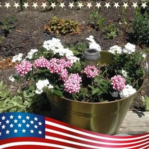 Meet your Posher, Martha